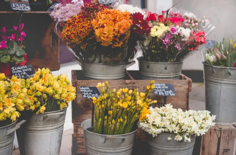 Flower shop display